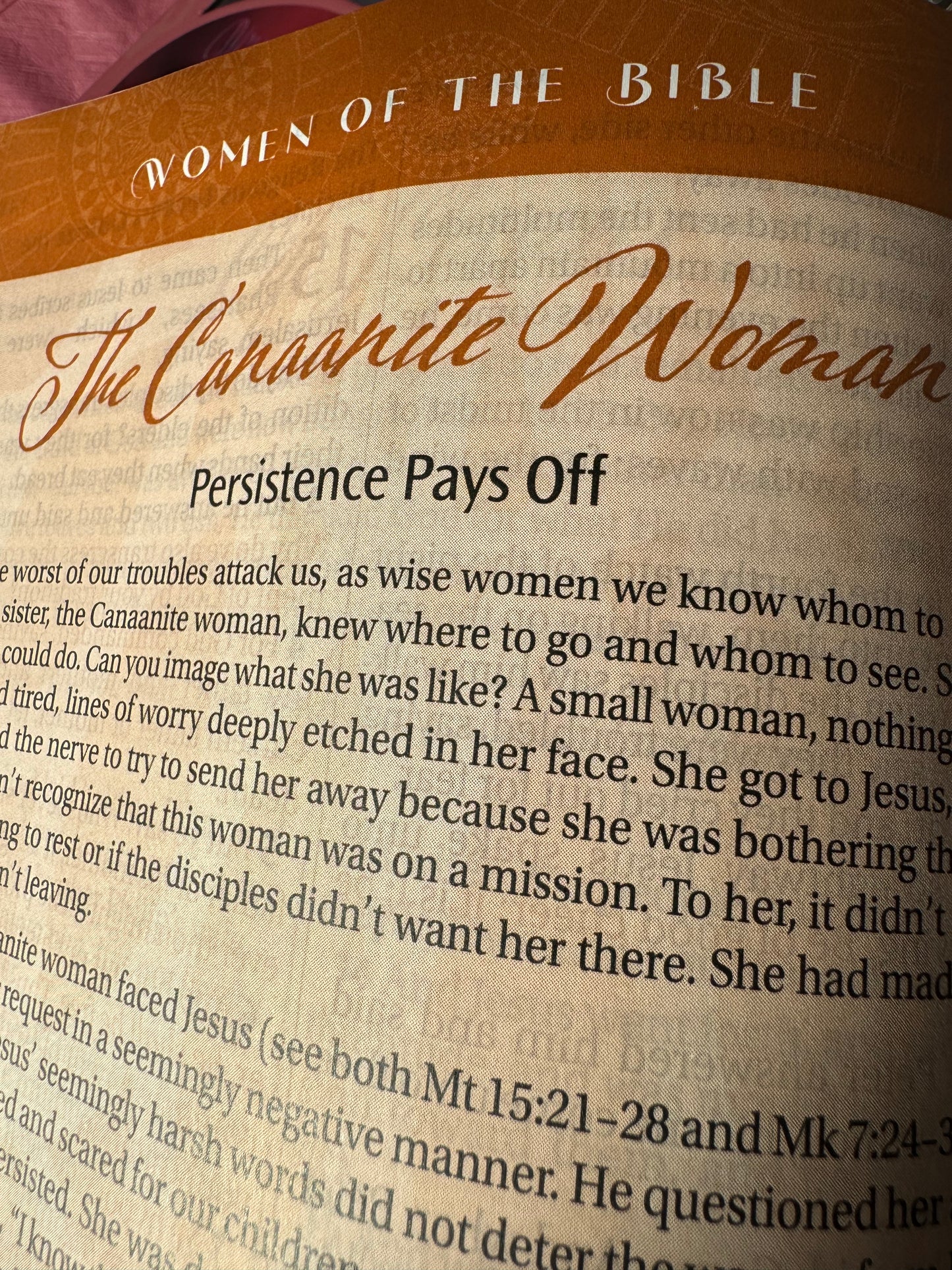 Women of Color Study Bible - Purple LuxLeather Softouch Edition