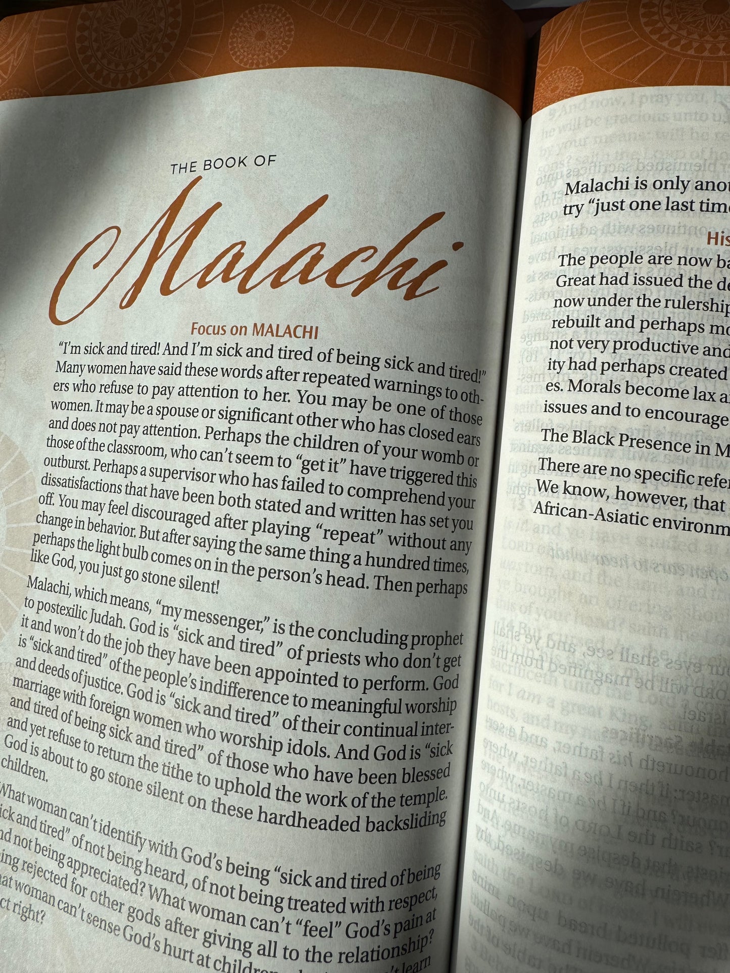 Women of Color Study Bible - Paperback Edition