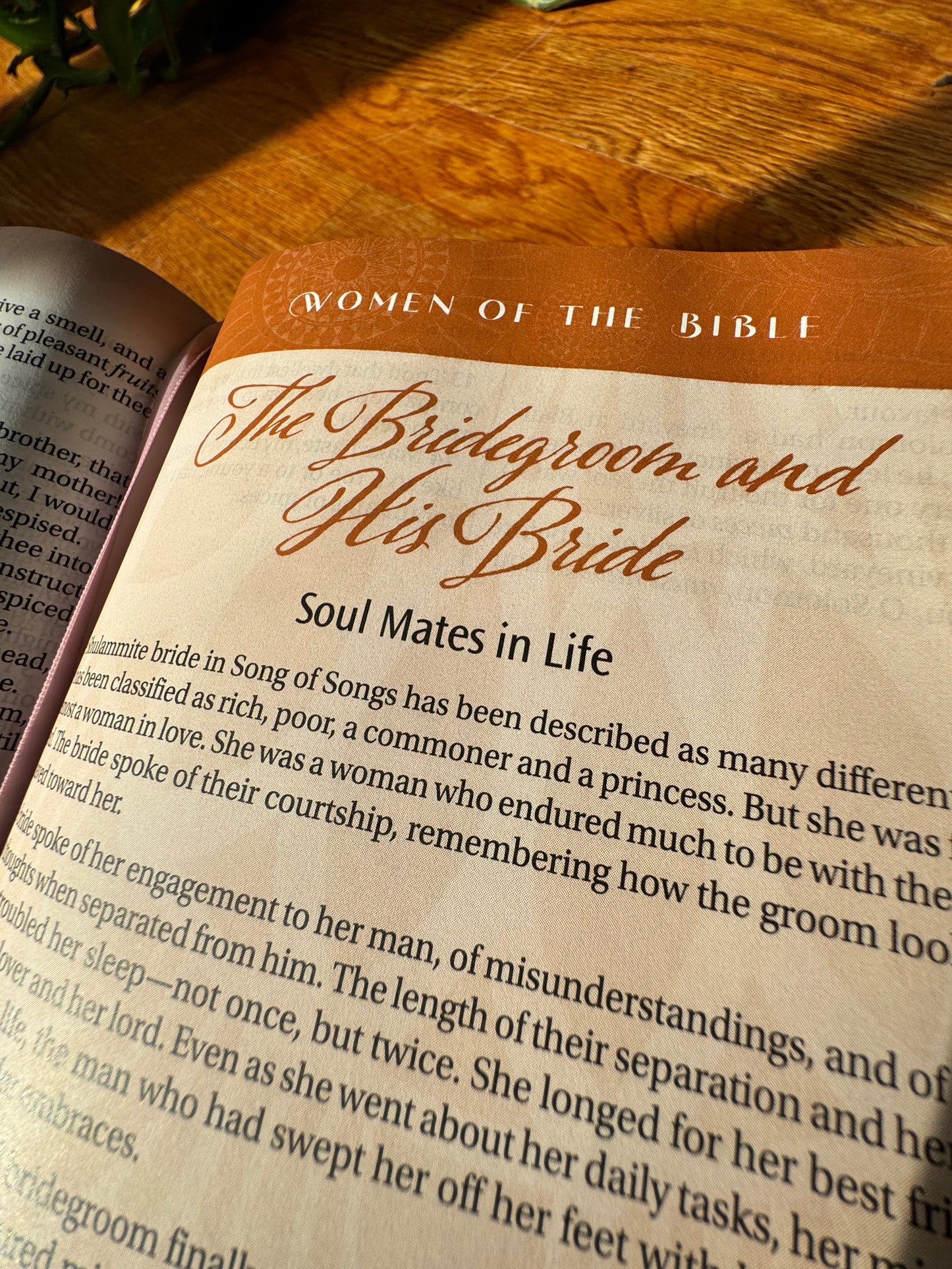 Women of Color Study Bible - Paperback Edition