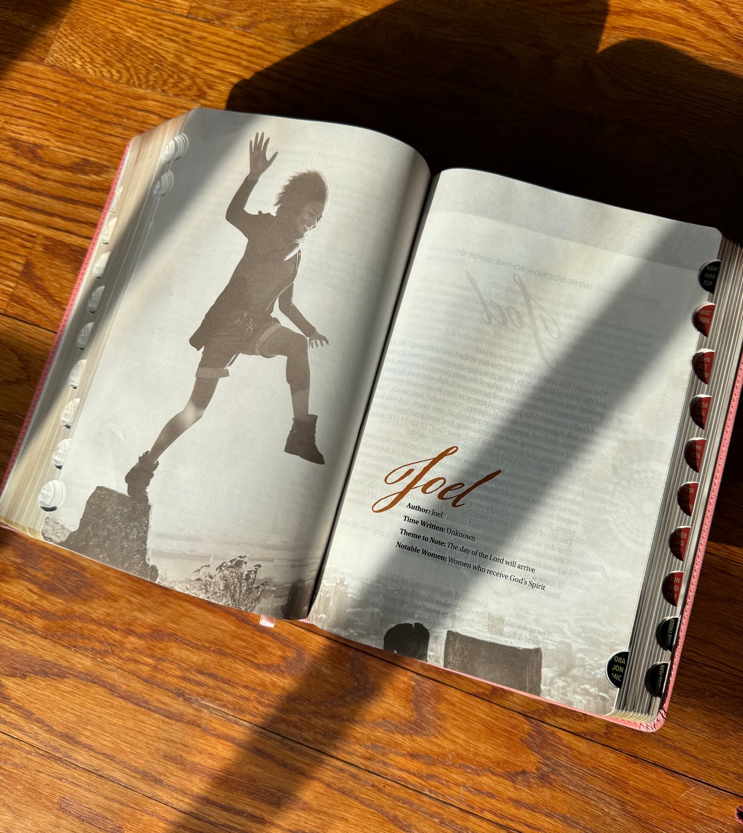 Women of Color Study Bible - Purple LuxLeather Softouch Edition