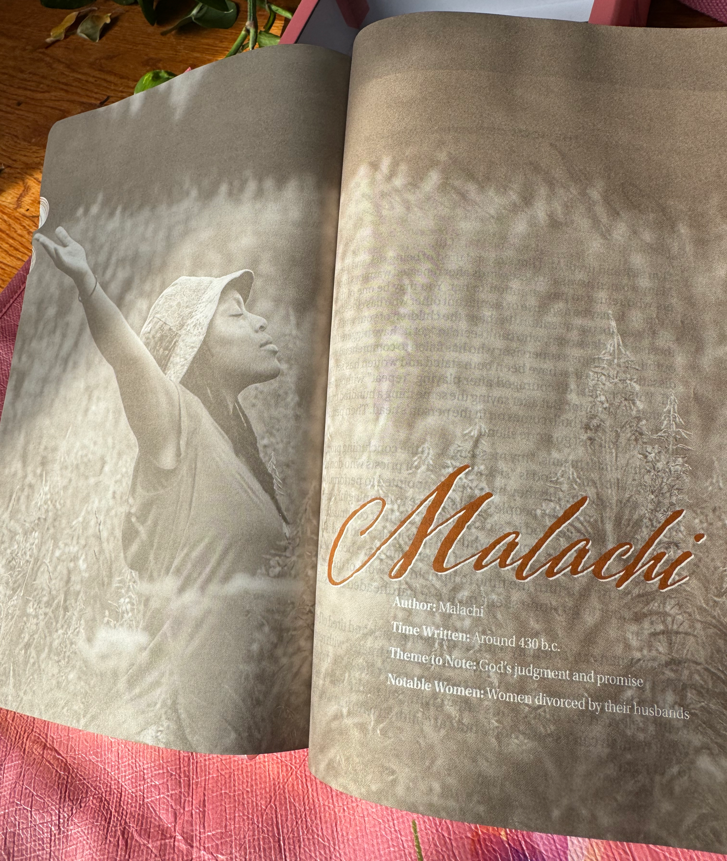 Women of Color Study Bible - Purple LuxLeather Softouch Edition