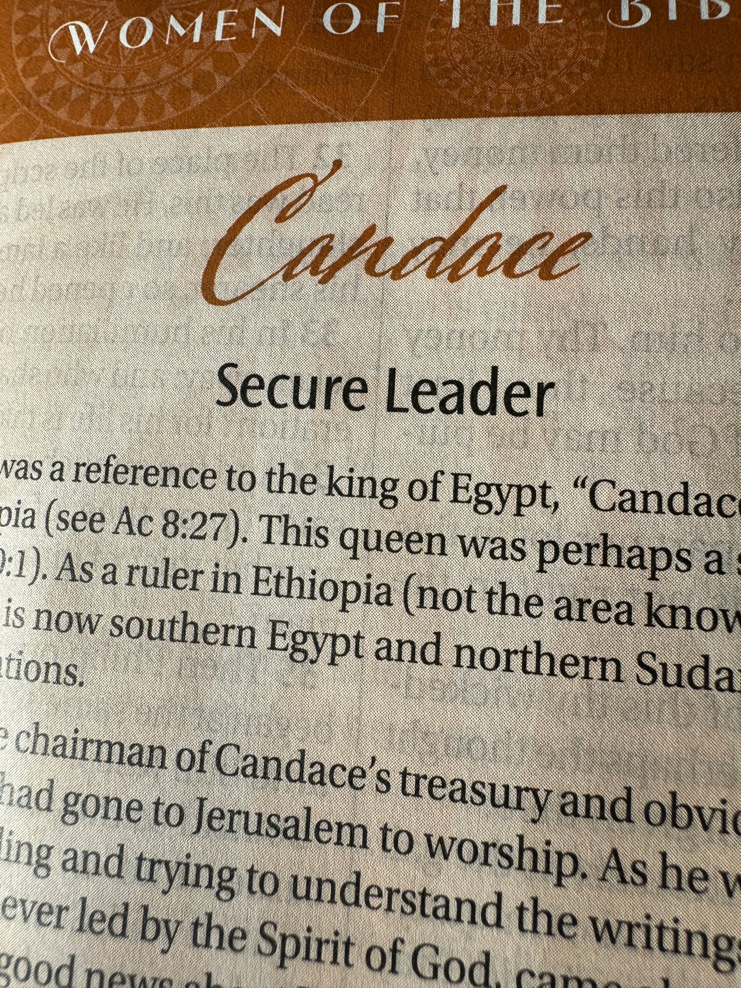 Women of Color Study Bible - Purple LuxLeather Softouch Edition