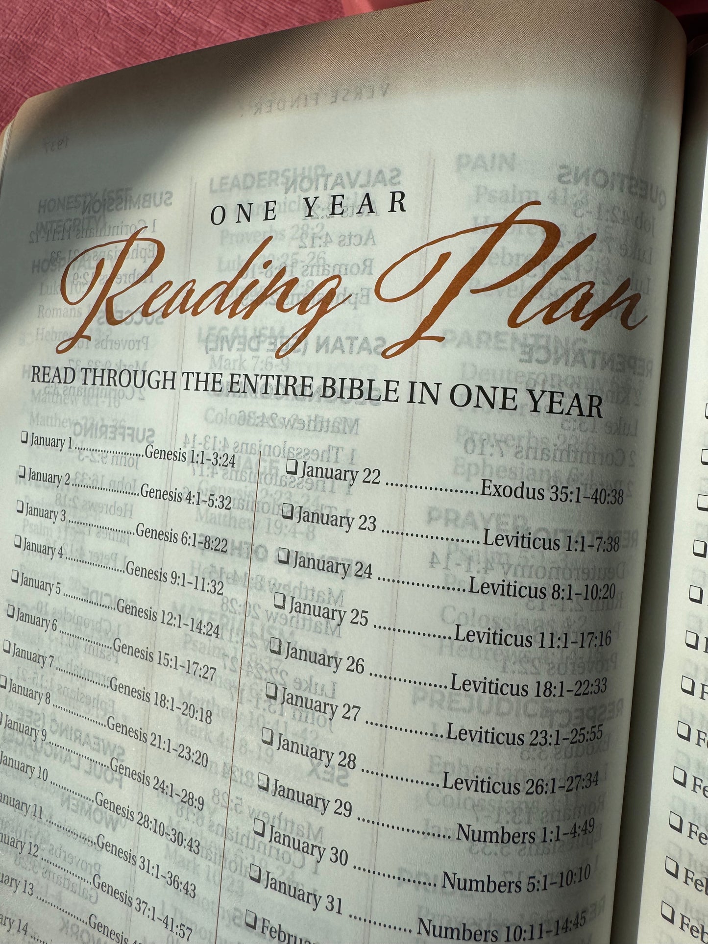Women of Color Study Bible - Purple LuxLeather Softouch Edition