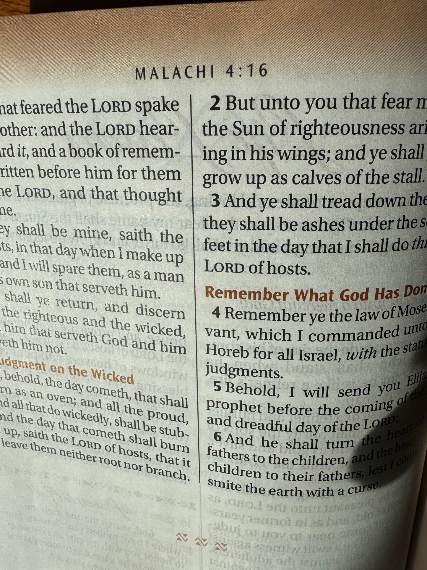 Women of Color Study Bible - Purple LuxLeather Softouch Edition