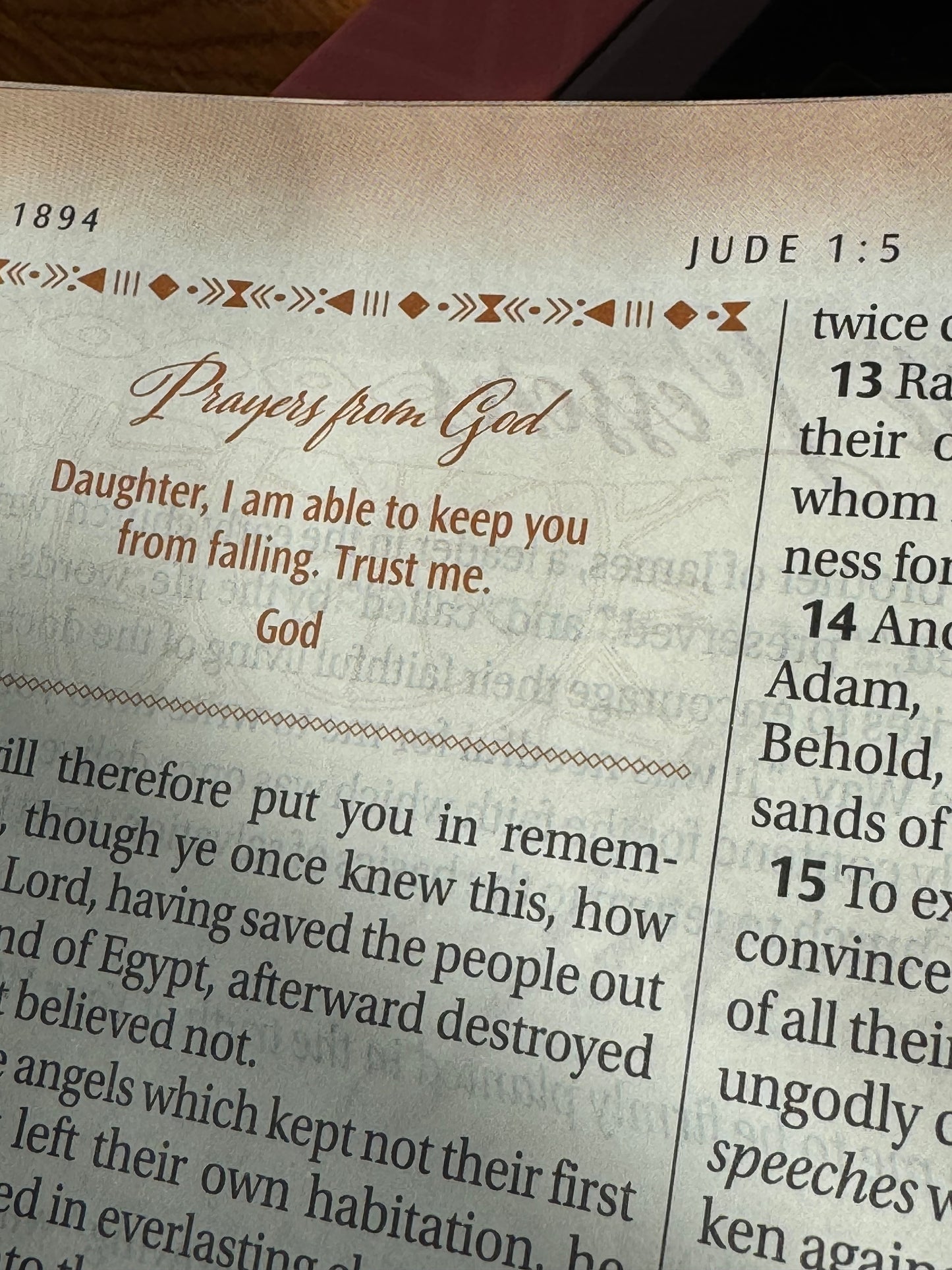 Women of Color Study Bible - Purple LuxLeather Softouch Edition
