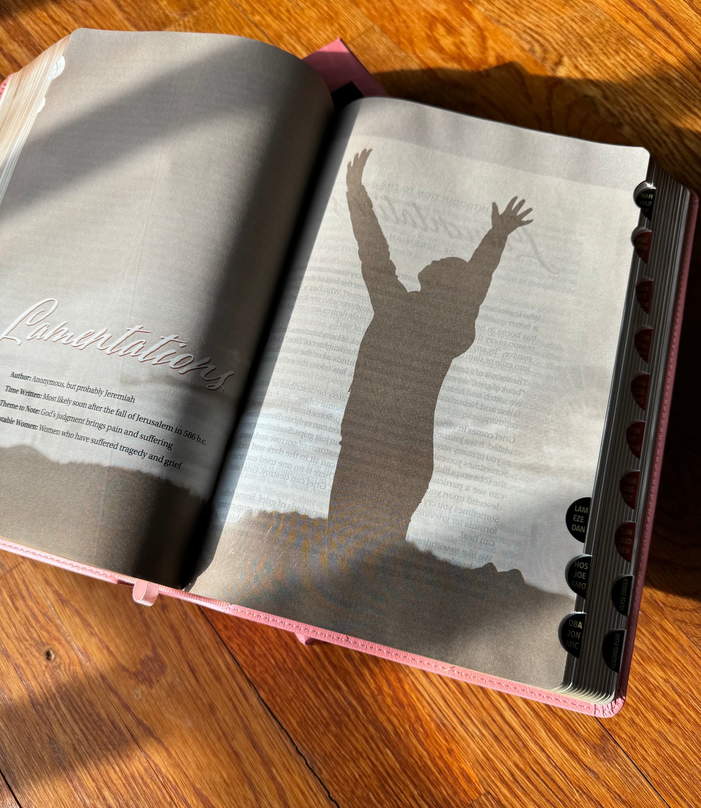 Women of Color Study Bible - Paperback Edition