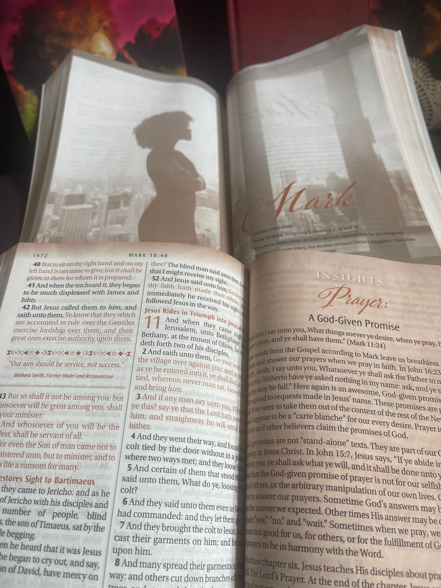 Women of Color Study Bible - Paperback Edition