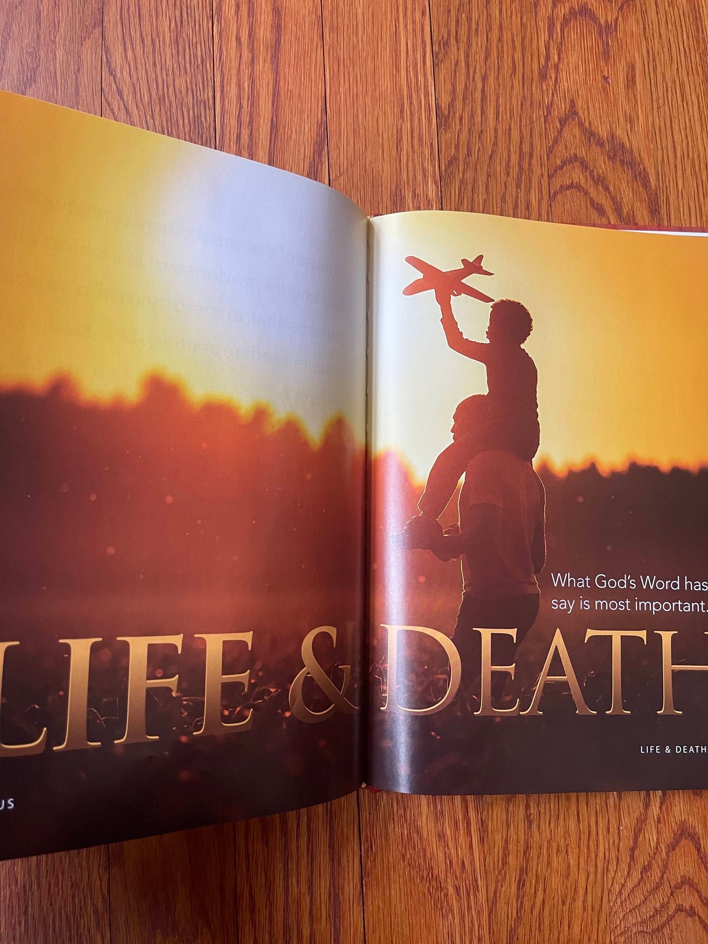 The Jesus Book - 3 Pack -Full Color - Large Coffee Table Sized Book